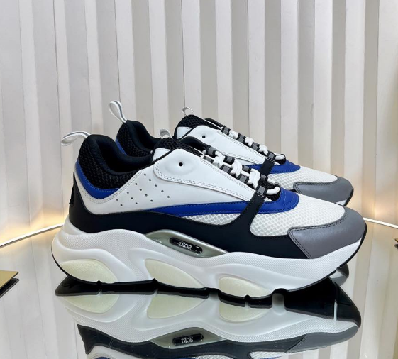 Dior B22